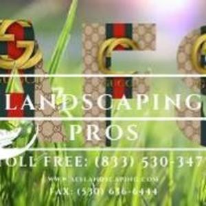 Meet your Posher, Adrian